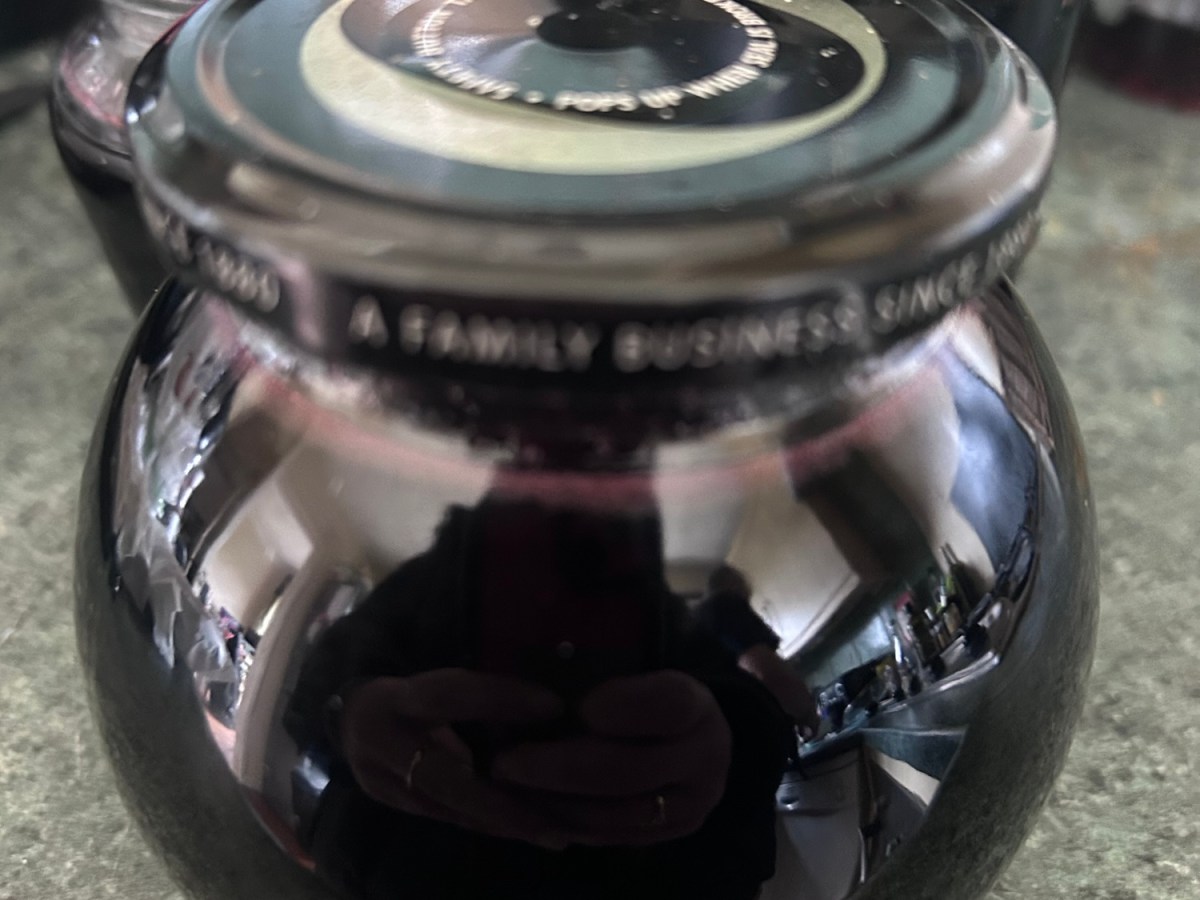 Foraging for Elderberries